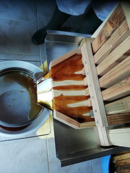 Récolte du miel Apithérapie Harmonie & Naturo Caroline Granziera à Trentels